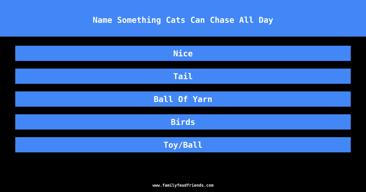 Name Something Cats Can Chase All Day answer