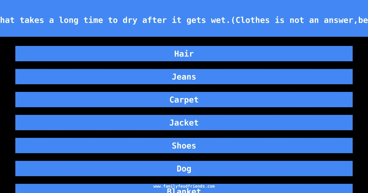 Name something that takes a long time to dry after it gets wet.(Clothes is not an answer,be more specific.) answer