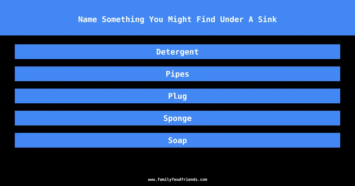 Name Something You Might Find Under A Sink answer